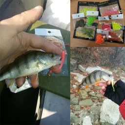 10 Pcs/Lot Worm Soft Fishing Lure Jig Wobblers 6cm 0.6g Shrimp Odor Additive Silicone Artificial Baits Bass Carp Pesca Tackle