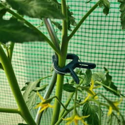 Garden Plant Clips, Plant Support Clips for Securing Stems, Flowers or Climbing Vines To Tomato Cages