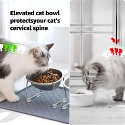 304 Raised Stainless Steel Cat Bowl with 15° Elevated Design Tilted Neck Guard Healthy Feeding Shatterproof for Cats Puppies