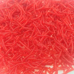 200pcs/Lot Fishy Smell Red Worm Soft Silicone Bait Shrimp Flavor Additives Fishing Lures Artificial Lure Carp Bass Isca Tackle
