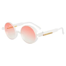 Classic Gothic Steampunk Sunglasses Luxury Brand Designer High Quality Men Women Retro Round Pc Frame Sunglasses For female male