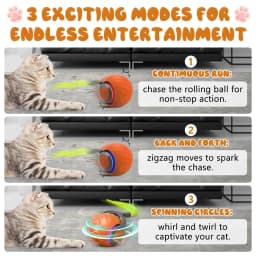 New Speedy Tail 2.0 Cat Toy Speedy Tail Cat Toy Interactive Cat Ball Toy Smart Cat Toys Ball Two Speed Adjustment with Tail