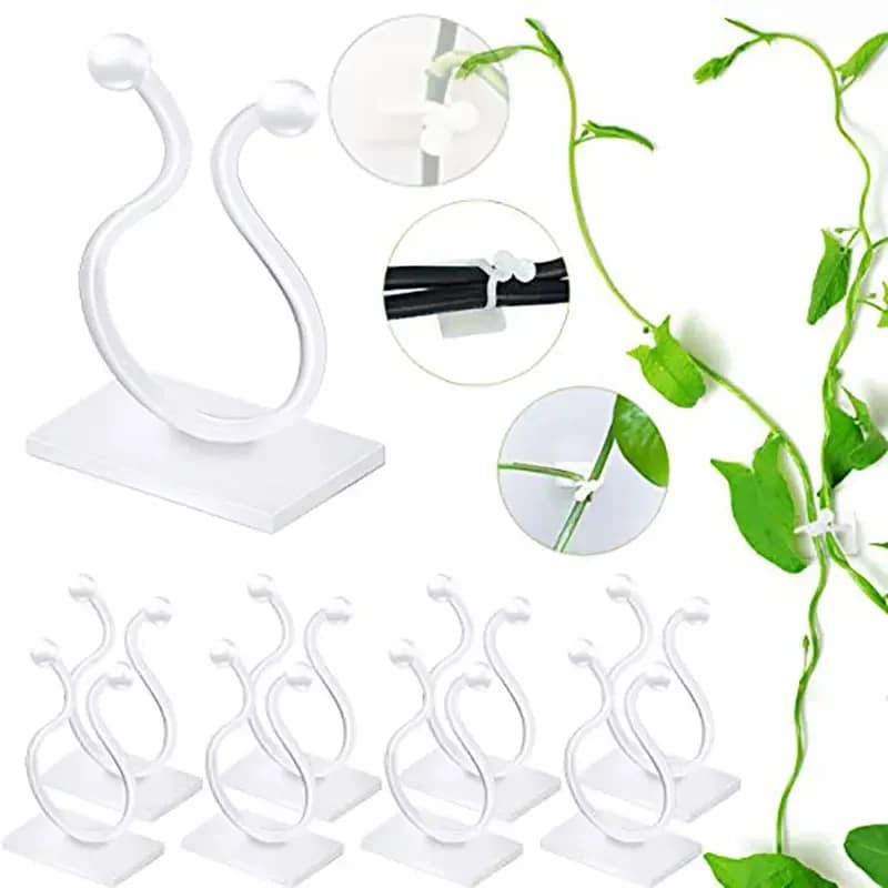 Plant Climbing Self-Adhesive Wall Vines Tools Fixture Plant Wall Fixture Clips Fixed Buckle Hook for Home Garden Wall Sticky