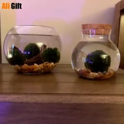 500/1000/1800 ML Micro Landscape Glass Bottle Vase Mouth Ball Moss DIY Bottles Home Decoration Wooden Lid Vases Tea caddy ZAKKA