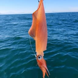 5pcs/set Horizontal Squid Jig Egi Set,Glow Squid Jig Kit,Wood Shrimp Lures,Artificial Bait for Squid, Octopus, Cuttlefish