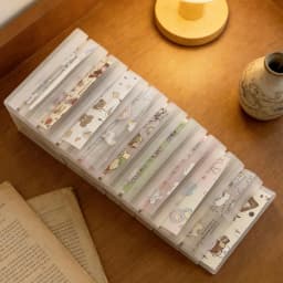 Nail Foil Storage Box 10 Grids Clear Transfer Paper Organizer Transparent Foil Roll Holder Dustproof Manicure Supplies