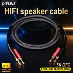 DIYLIVE 5N OFC High-Purity Copper HIFI Speaker Cable for Main Speaker Power Amplifier Side Connection Passive Audio Cable
