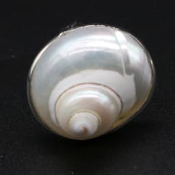Natural Stone Shell Ring Adjustable Snail-Shaped Gossip Unisex For Love Romantic Birthday Jewelry Gift