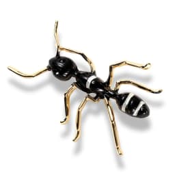 Simple stripe enamel big ant brooch exaggerated insect pin Brooches men and women Western accessories party