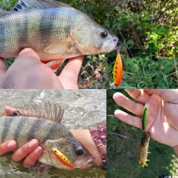 TSURINOYA Fishing Lure DW69 Sinking Minnow Hard Bait 48S 48mm 3.3g Fishing Wobblers Jerkbait Bass Trout Lure Swimbait