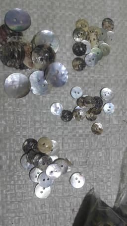 NBNNKG Nature Sea Shell Made Shirt Buttons 30Pcs Multisizes Sewing Garment Fit DIY Craft Ornament Seashell Botoes