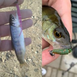 2018 Supercontinent Fishing Soft Worm Lures Ice Fishing Bait Soft Polaris Sinking Lure Pesca Cheap Fishing Tackle