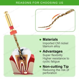 Glin Dental Gold Flexible Files Endo Rotary Files Golden Endodontic Files 21/25/31mm Nickel Titanium Instrument Dentistry