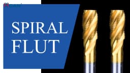 XCAN HSS Steel Screw Tap Titanium Coated Spiral Metric Thread Tap M2-M18 Machine Plug Tap HSS6542 Threading Tool Tap Drill Bit