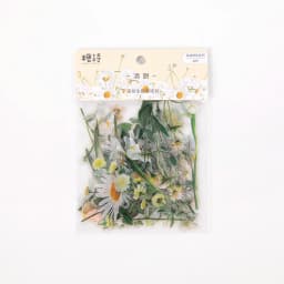 Flowers Sticker pack 40pcs Fresh Flower Plant Transparent Waterproof daisy hand account Decoration Scrapbooking material