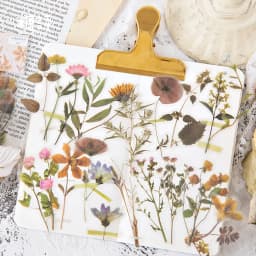 Flowers Sticker pack 40pcs Fresh Flower Plant Transparent Waterproof daisy hand account Decoration Scrapbooking material