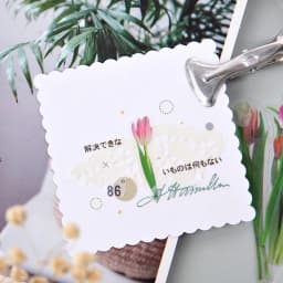 Flowers Sticker pack 40pcs Fresh Flower Plant Transparent Waterproof daisy hand account Decoration Scrapbooking material