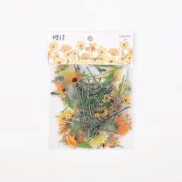 Flowers Sticker pack 40pcs Fresh Flower Plant Transparent Waterproof daisy hand account Decoration Scrapbooking material