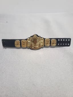 1pcs decoration DIY Mattel 6'' 7''inch wrestler Doll accessory part Gold belt for Doll Action Figure