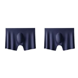 2Pcs Men Panties Mens Ice Silk Boxers Seamless Sexy Underwear Man Ultra-thin Breathable Boxer Shorts Male Underpants Boxershorts