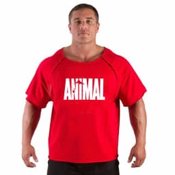 Men's T Shirts Fitness Men Bodybuilding Shirt Batwing Sleeve Rag shirt Gym Fitness Muscle Running T shirt