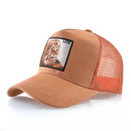 Hip Hop Baseball Cap With Lion Embroidery Patch Snapback Streetwear Trucker Caps Men Women Drake Baseball Hats Four Season Hat