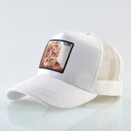Hip Hop Baseball Cap With Lion Embroidery Patch Snapback Streetwear Trucker Caps Men Women Drake Baseball Hats Four Season Hat