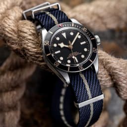 Nylon Watch Strap 20mm 22mm Stripe Watchband Replacement Watch Band Military Wristband Accessories For T-udor Watch Straps