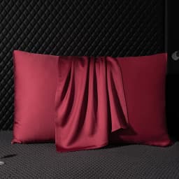 Pure Mulberry Silk Pillowcase 100% Natural Silk Pillow Cover 40*60cm 50*70cm Qeen King Size Pillowcase