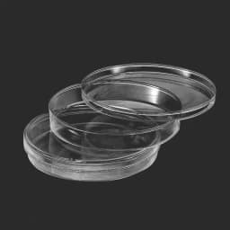 10Pcs 90mm Plastic Petri Dishes For LB Plate Bacterial Yeast with Lids Laboratory Chemistry Equipment Lab Supplies
