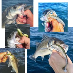 WEIHAI FSTK Japanese Material Eazi Shiner SwimBaits 7cm 5cm Silicone Artificial Double Color Wobblers Carp Fishing Soft Lures
