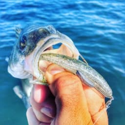 WEIHAI FSTK Japanese Material Eazi Shiner SwimBaits 7cm 5cm Silicone Artificial Double Color Wobblers Carp Fishing Soft Lures