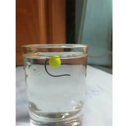 100PCS Hot EPS Stoppers Night Bottom Foam Floats Ball Beans Fishing Floats Beads