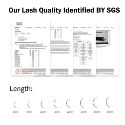 10 Cases/Lot Winky Beauty 12 Rows Professional Individual Eyelashes Extension Russia Volume Eyelash Extension Supplies Materials