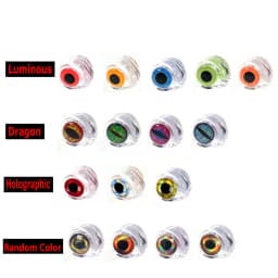 Bimoo 20PCS Clear Fluoro Epoxy Fish Mask Streamer Saltwater Flies Fly Tying Material Included Luminous Holographic 3D Fish Eyes