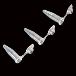50 Pieces of 0.5 Ml Laboratory Transparent Micro Plastic Centrifuge Tubes with Snap Lid Container Lids for Laboratory Samples