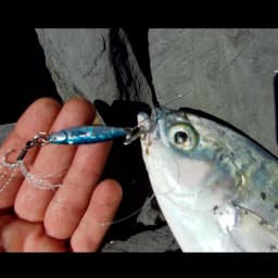 WEIHAI FSTK Metal Bait Sea Fishing Lures Jig Shore 10g15g20g30g Off Shore Jig Spoon Slow Jig Casting Jig Spoon Artificial Bait