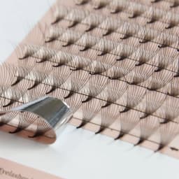 Goddess Premade Volume Fans 5D 6D 10D 12D 16D 20D MIX Individual Lashes Pre Made Russian Volume Fan Eyelash Extension Faux Mink