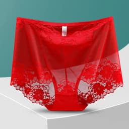 lingerie sexy underwear women ropa mujer plus size high waist hollow mesh seamless panties briefs lenceria sensual mujer bragas