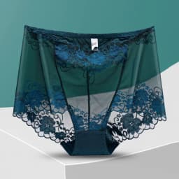 lingerie sexy underwear women ropa mujer plus size high waist hollow mesh seamless panties briefs lenceria sensual mujer bragas