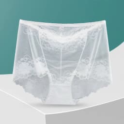 lingerie sexy underwear women ropa mujer plus size high waist hollow mesh seamless panties briefs lenceria sensual mujer bragas