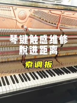 HUATOOL Piano Tuning Trimming Tool 1810, Keyboard Pin Multi-Accent Head Bracket Bend Hook, Piano Repair Maintenance Spare Parts
