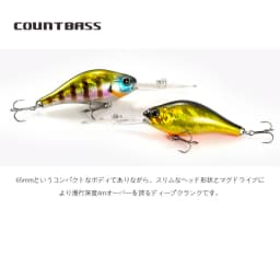 COUNTBASS Crankbait 65mm 14.5g Deep Diver Floating Hardbaits Fishingg Lures Diving Depth 4m Crank Wobblers Angler's Lure