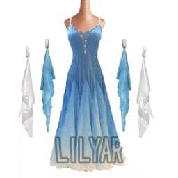 Ballroom Dance Dress Standard Skirt Competition Dress Costumes Performing Dress Customize Adult Children Blue Sparkly Rhinestone