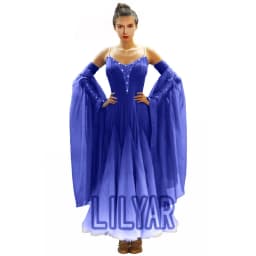 Ballroom Dance Dress Standard Skirt Competition Dress Costumes Performing Dress Customize Adult Children Blue Sparkly Rhinestone