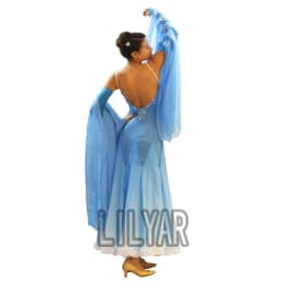 Ballroom Dance Dress Standard Skirt Competition Dress Costumes Performing Dress Customize Adult Children Blue Sparkly Rhinestone