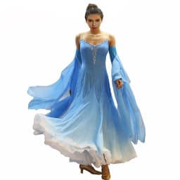Ballroom Dance Dress Standard Skirt Competition Dress Costumes Performing Dress Customize Adult Children Blue Sparkly Rhinestone