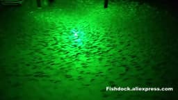 100W 150W DC 12V Green White Squid IP68 High Power Fish Attractant Bait Lure Night Submersible Underwater LED Fishing Light