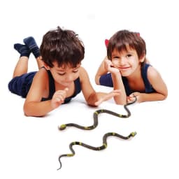 Realistic Plastic Tricky Toy Fake Snakes Boa Rattlesnake Model High Simulation Toy Prank Halloween