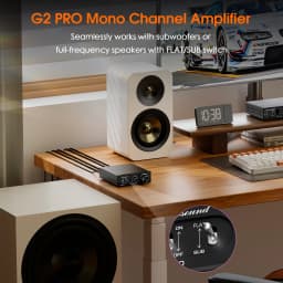 Douk Audio G2 PRO Hi-Fi 300W Subwoofer Amplifier Mono Channel Power Amp Home Audio Gain Control For Home Theater Speaker